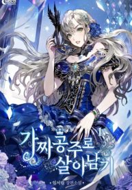 a-fake-princesss-survival-diary.jpg