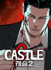 castle-2-pinnacle-series.jpg
