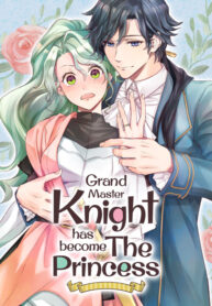 grand-master-knight-has-become-the-princess.jpg