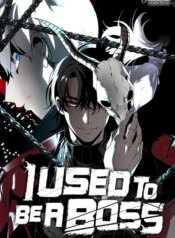 i-used-to-be-a-boss.jpg