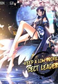 keep-a-low-profile-sect-leader.jpg