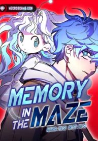 memory-in-the-maze.jpg