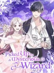 picked-up-by-a-mysterious-wizard.jpg