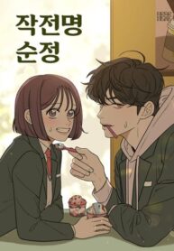 pure-love-operation-series.jpg
