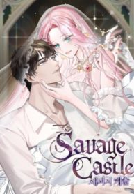 savage-castle.jpg