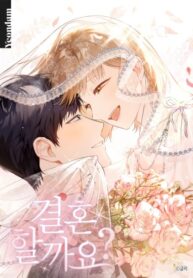 shall-we-get-married.jpg