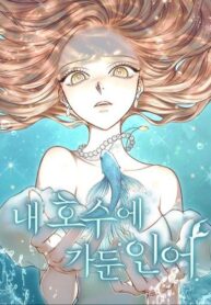 the-merman-trapped-in-my-lake.jpg