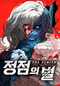 the-zenith.jpg