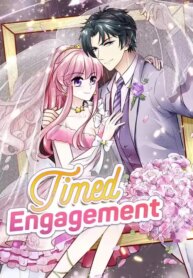 timed-engagement.jpg