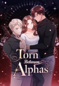 torn-between-alphas.jpg