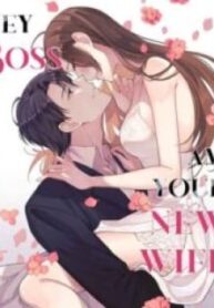 hey-boss-i-am-your-new-wife.jpg