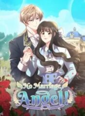 no-marriage-angel.jpg