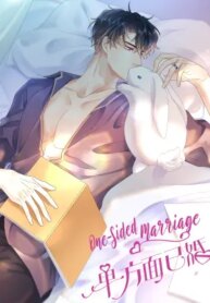 one-sided-marriage.jpg