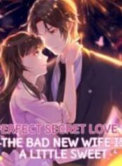 perfect-secret-love-the-bad-new-wife-is-a-little-sweet.jpg