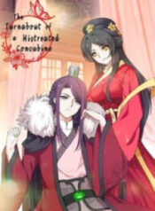 rebirth-the-turnabout-of-a-mistreated-concubine.jpg